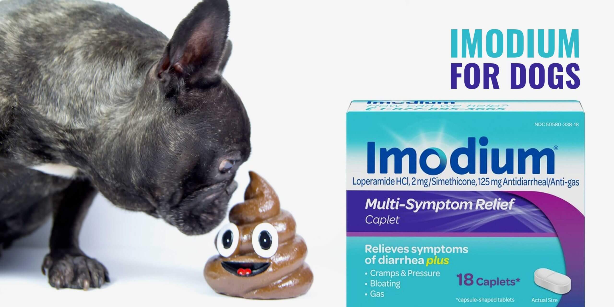 how much imodium can i give my 100 pound dog