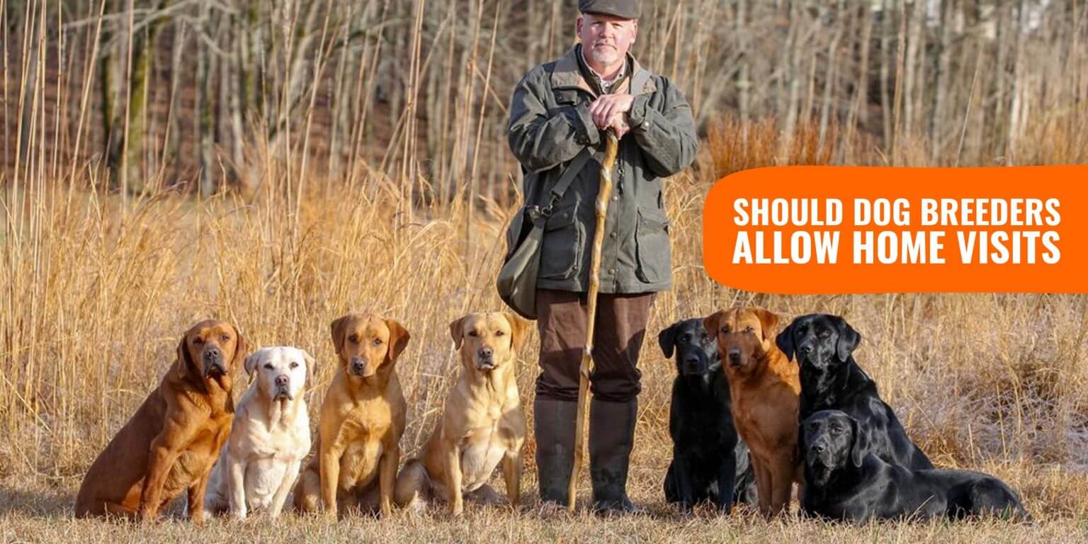 Breeder Complaints with Kennel Clubs, Humane Societies & FAQs