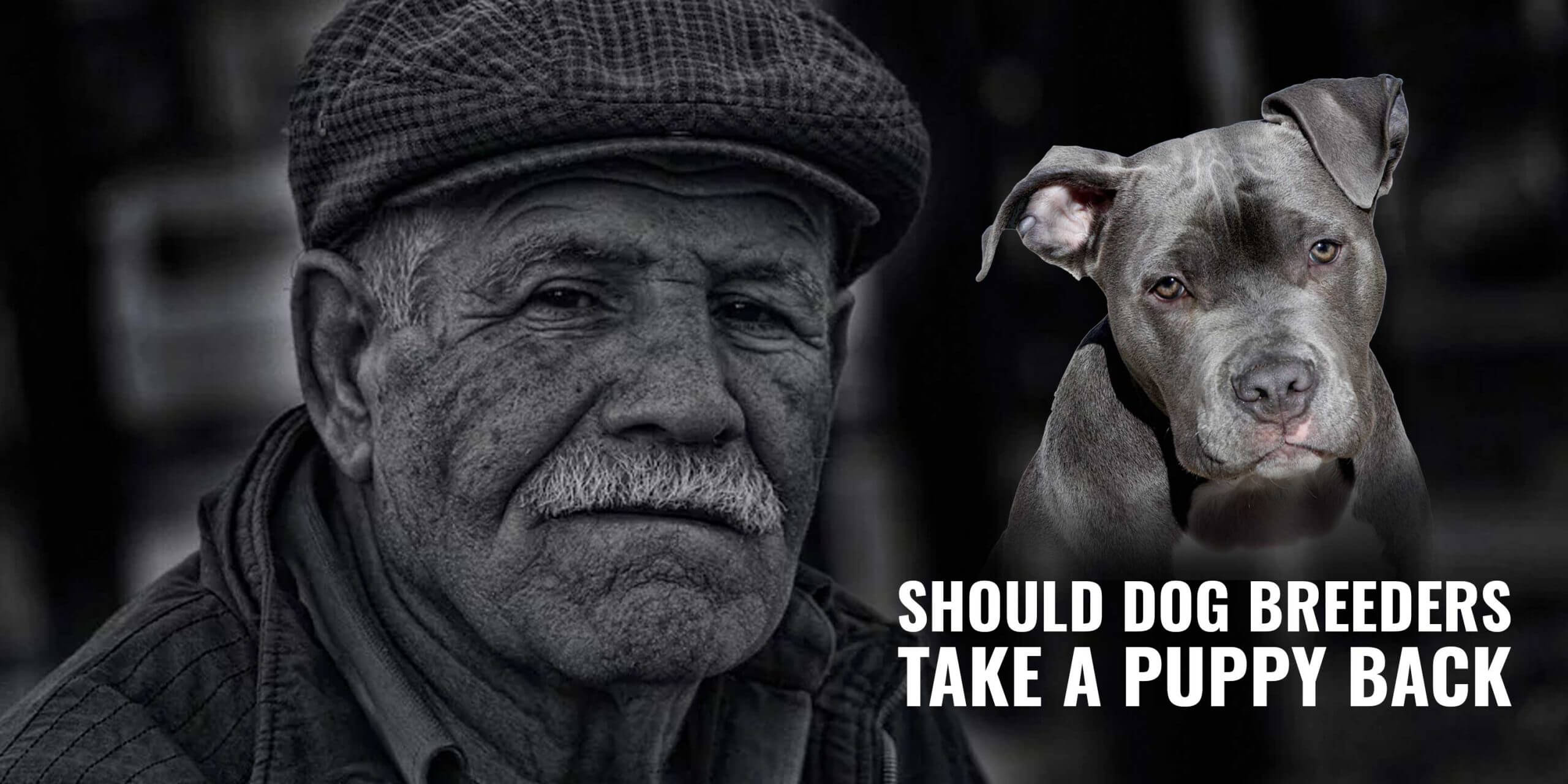 Should Dog Breeders Take a Puppy Back