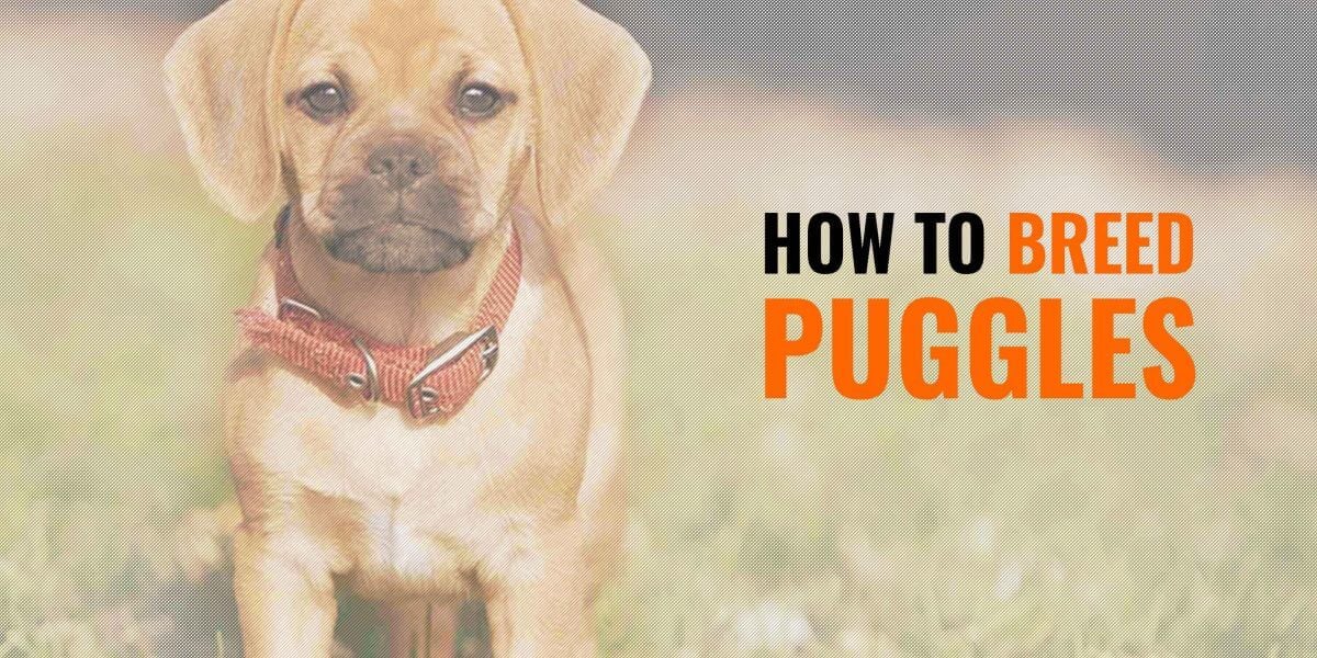 How To Breed Puggles