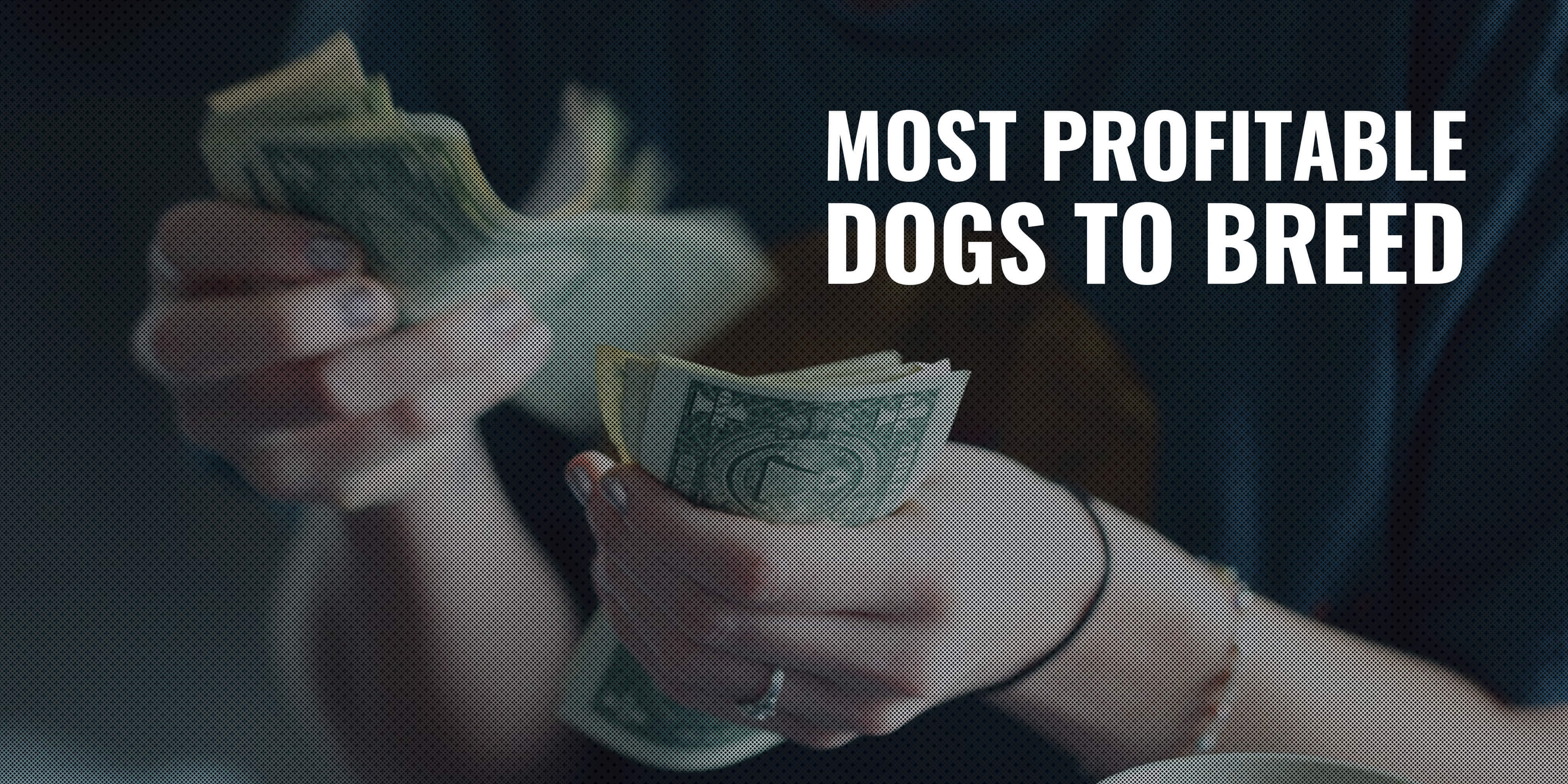 most profitable dog breeds