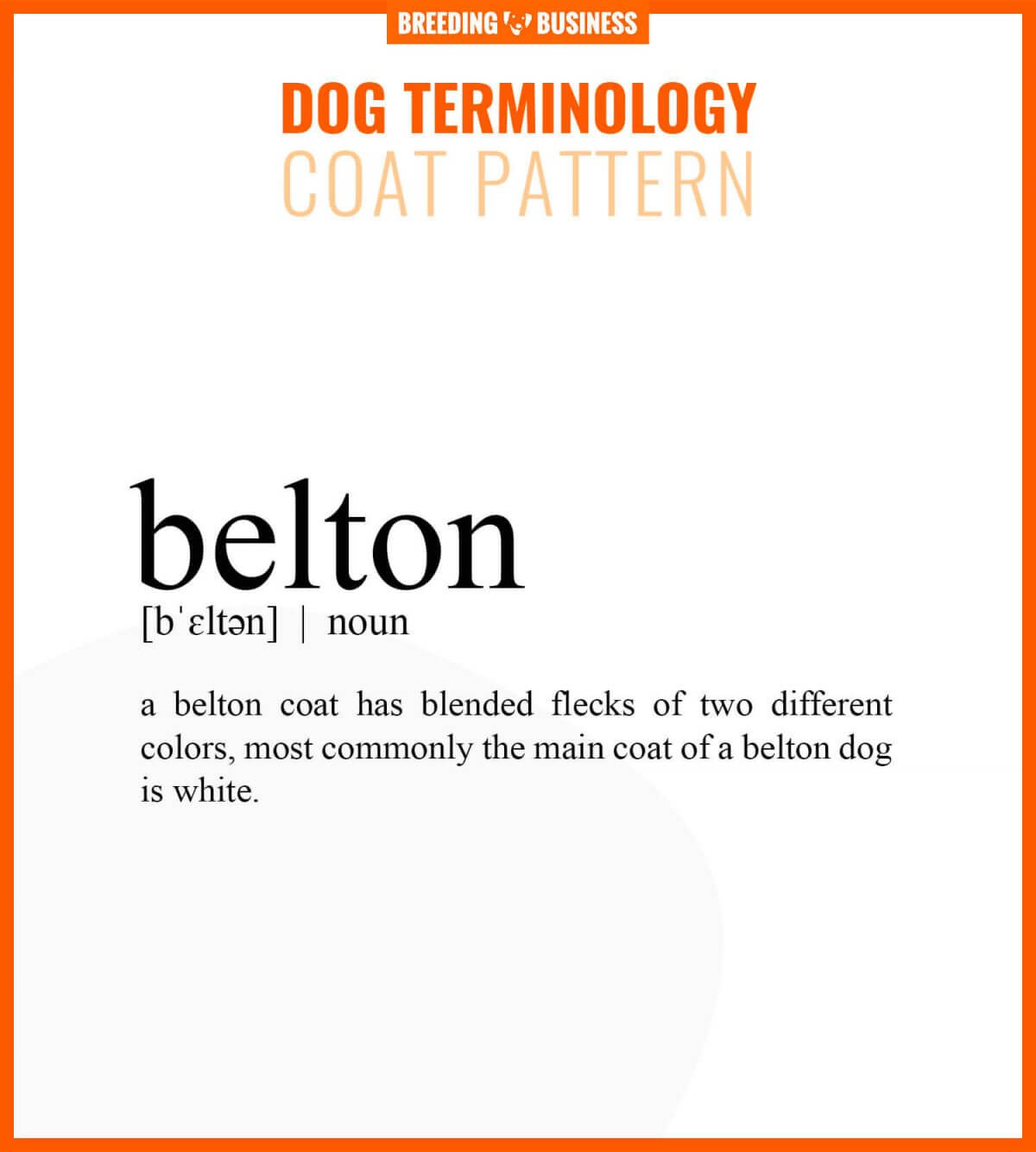 belton dog coat pattern