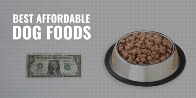 best affordable dog foods