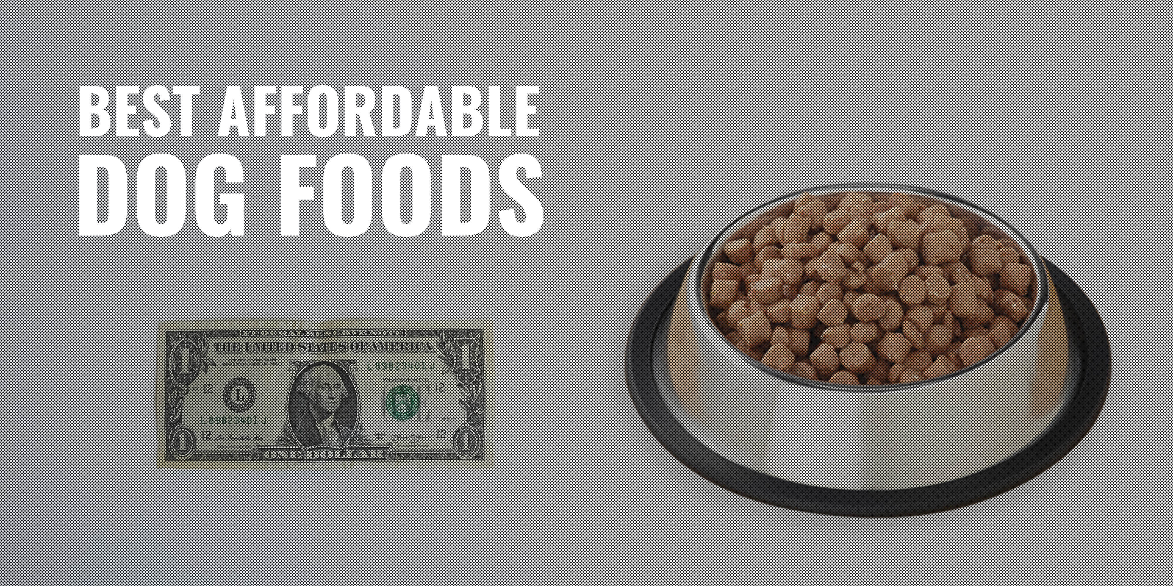 Best Inexpensive Dog Food 5 Best Cheap Dog Foods To Pick On A Tight