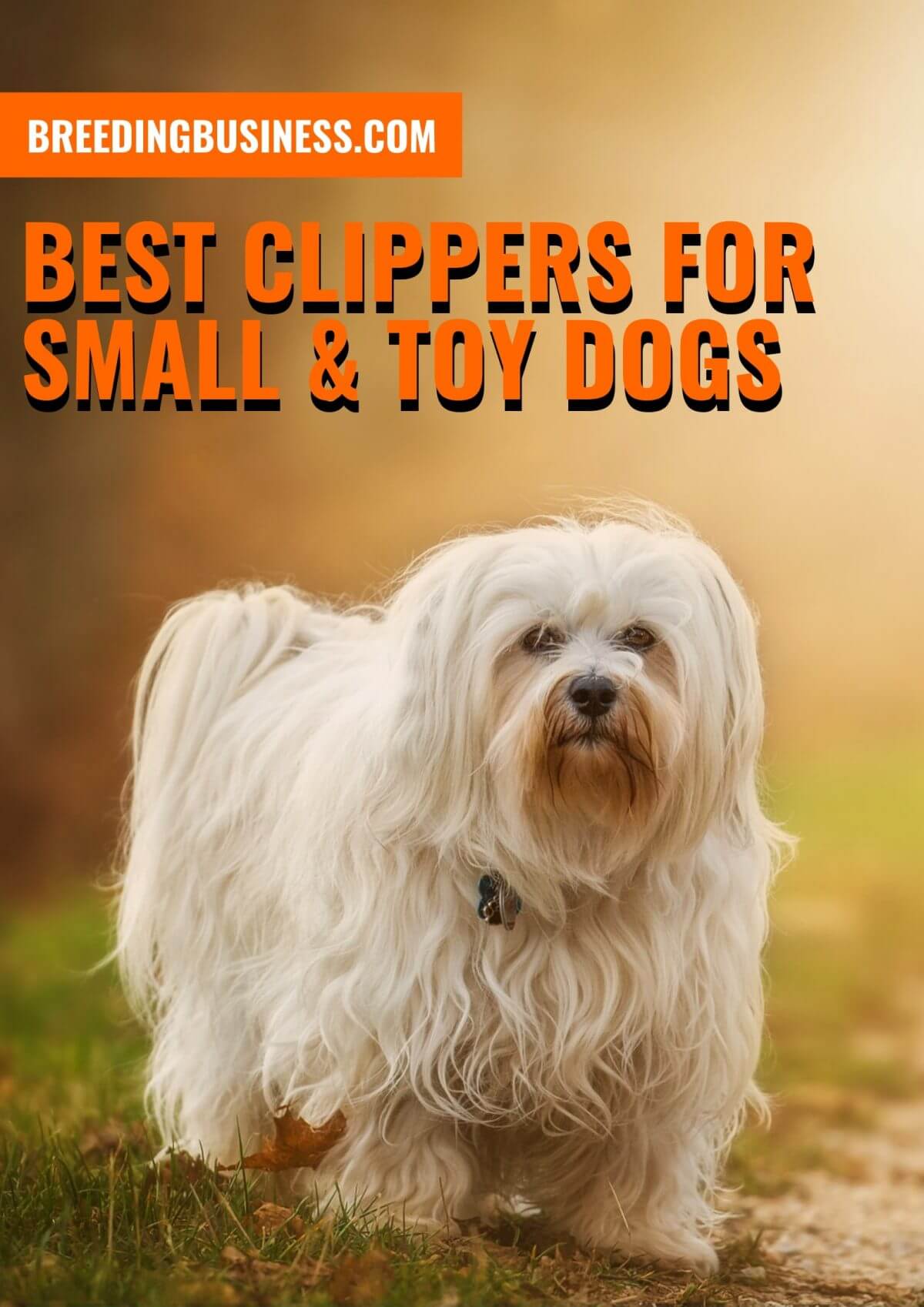 best clippers for small dogs