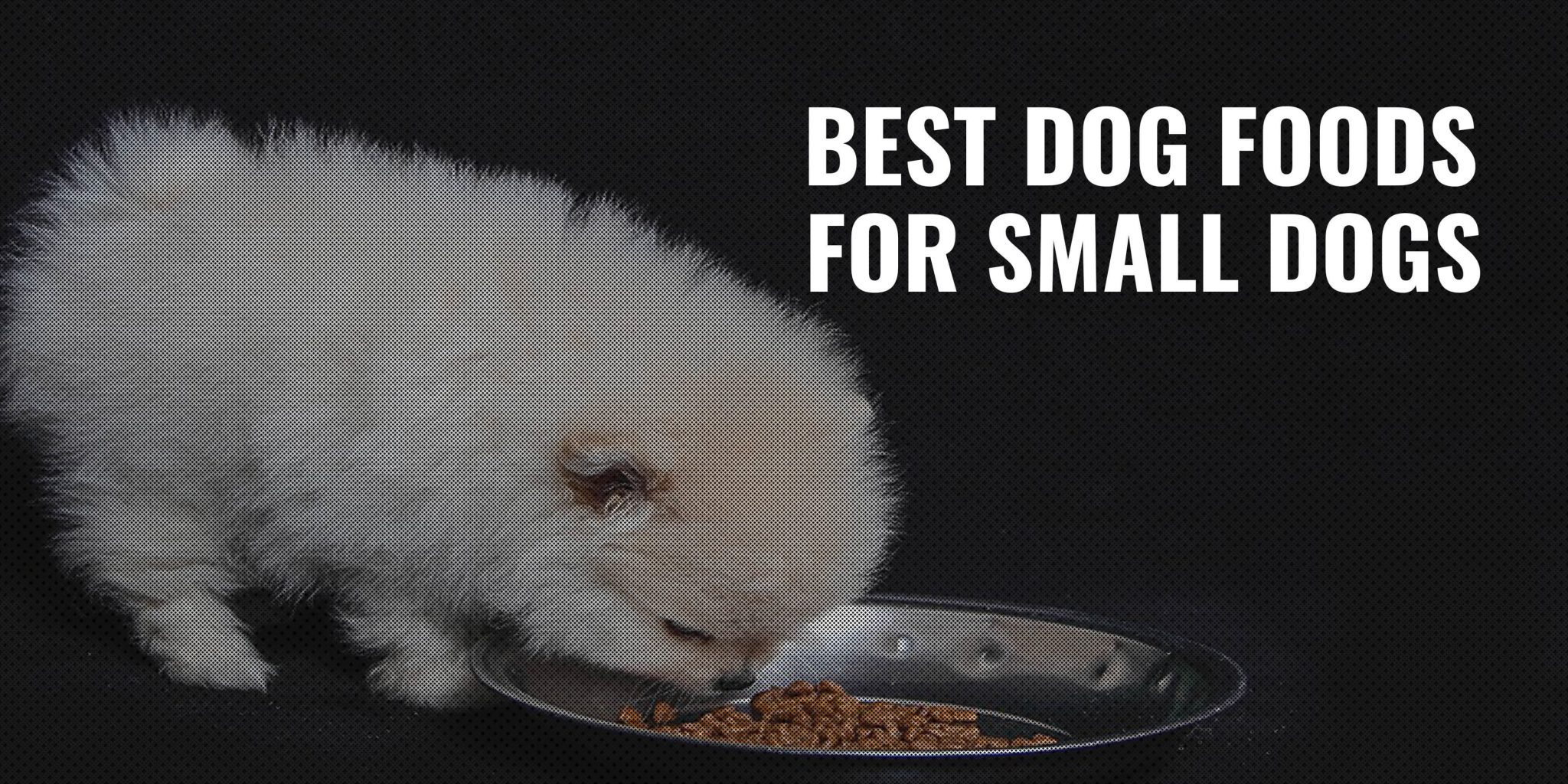 13 Best Dog Foods for Small Dogs – Proper Amount + Quality Ingredients