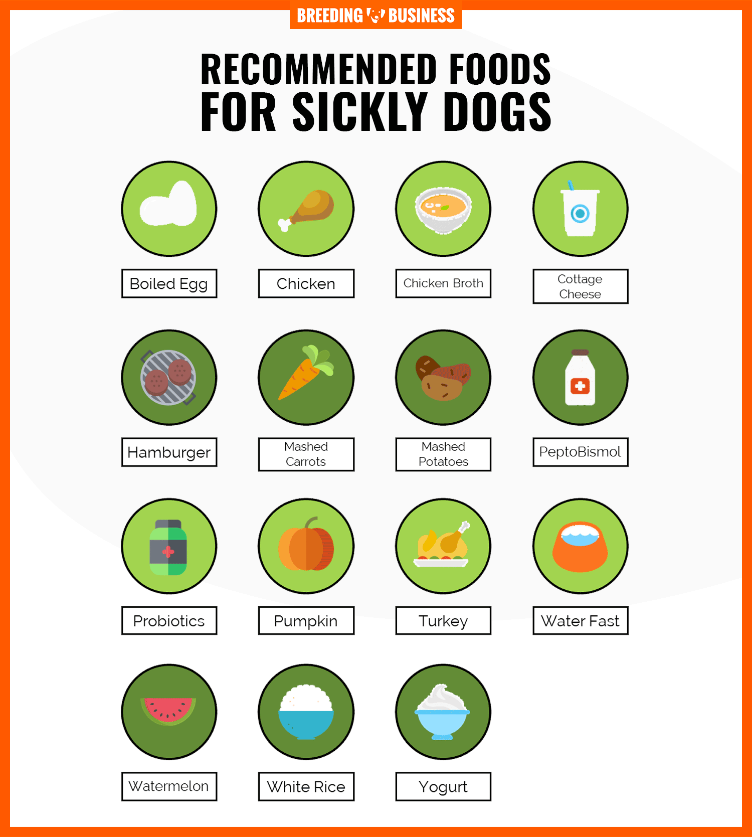 best foods for sick dogs