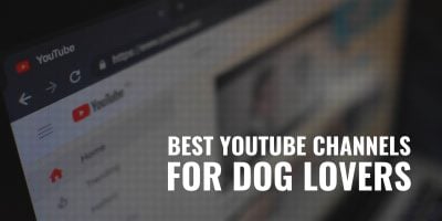 Best Youtube Channels for Dog Lovers