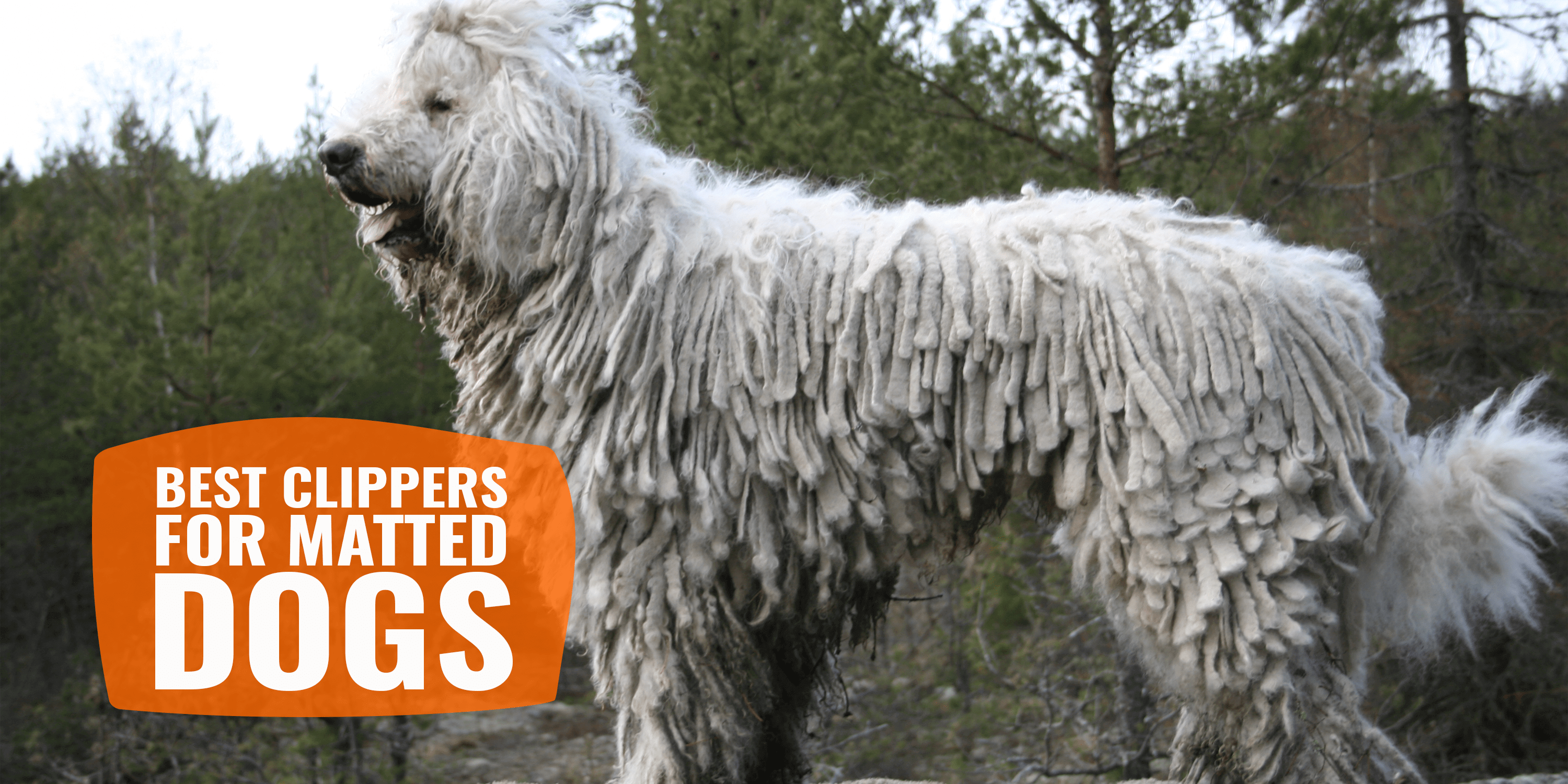 best clippers for long haired dogs