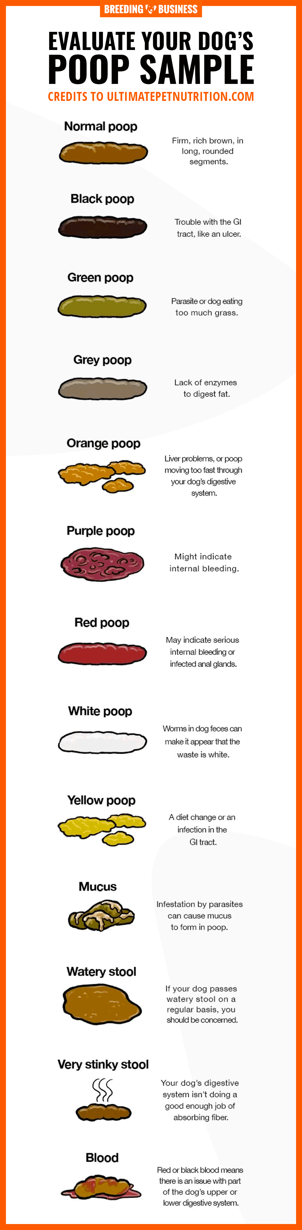 evaluate a dog stool sample