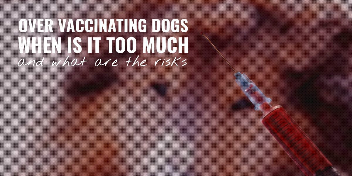 OverVaccinating Dogs When Is It Too Much, And What Are The Risks?