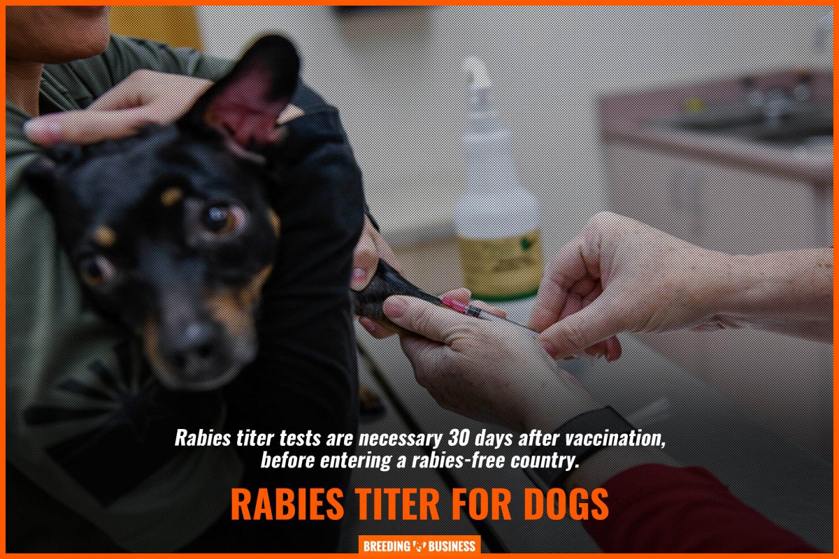 rabies titer for dogs