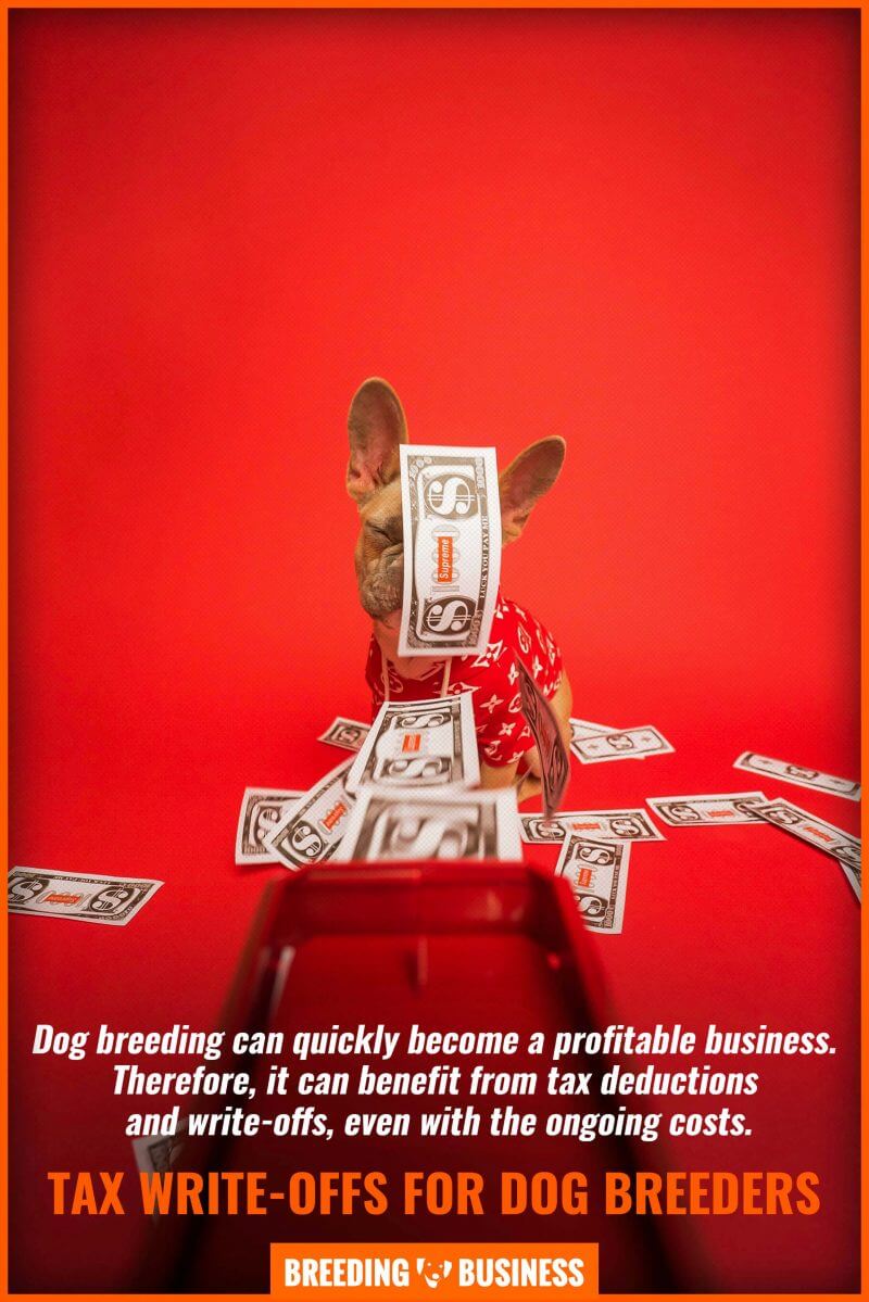 Tax Write-Offs For Dog Breeders – Intent, Deduction, Depreciation & Faqs