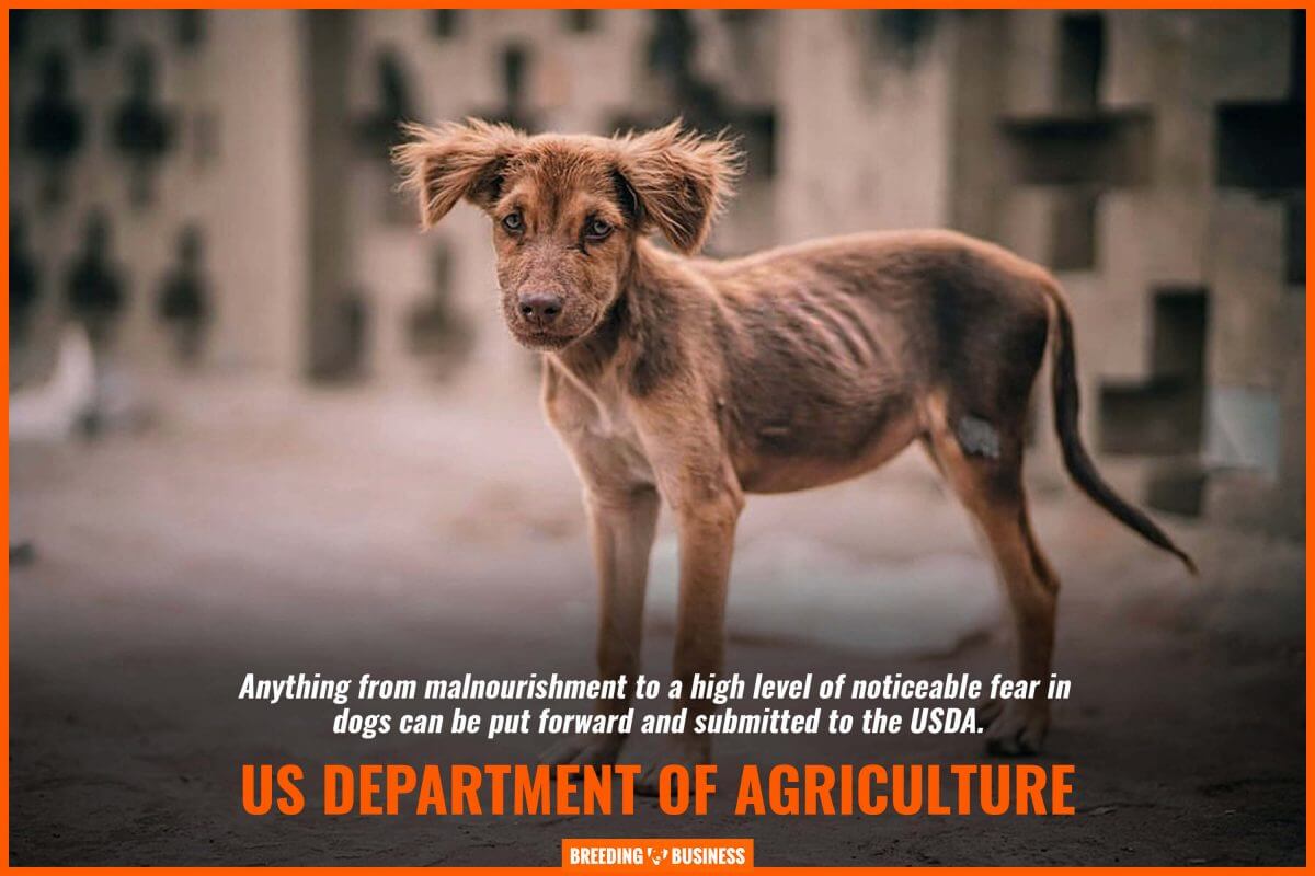 us department of agriculture