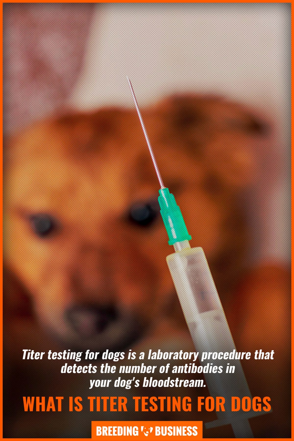 what is titer testing for dogs