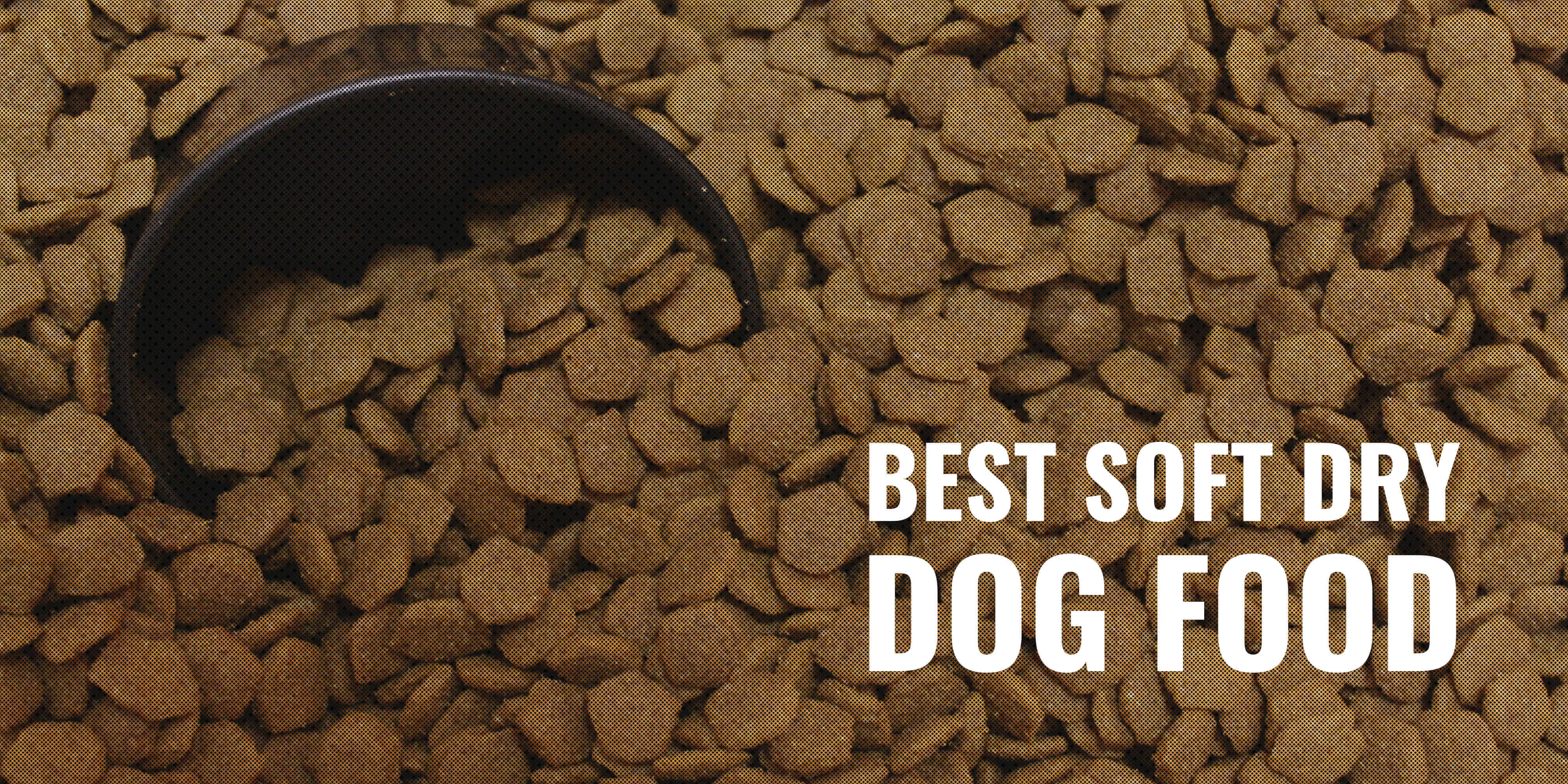 Best Dry Dog Food Reviews 2024 Suzi Yevette