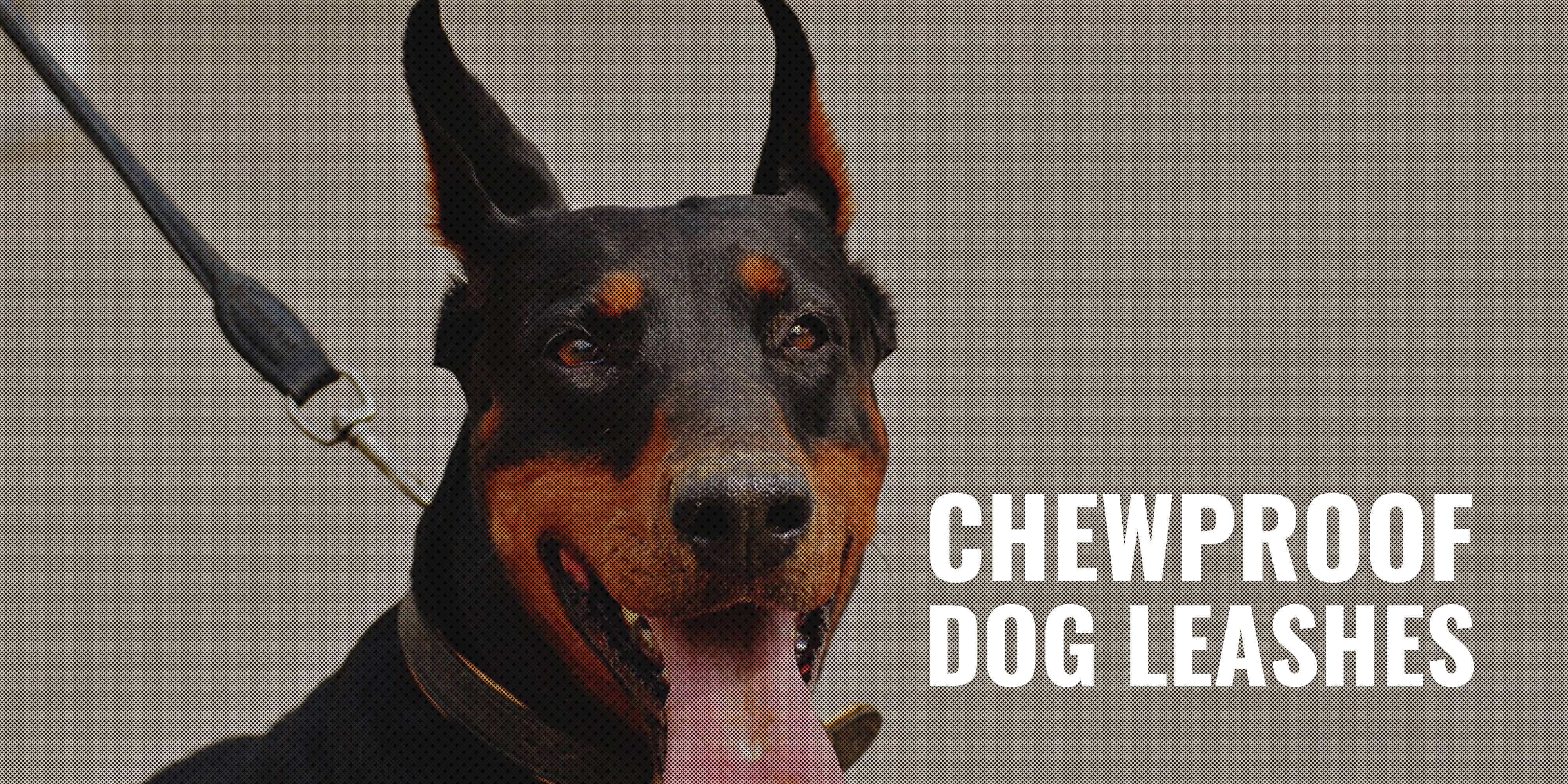 chewproof dog leashes
