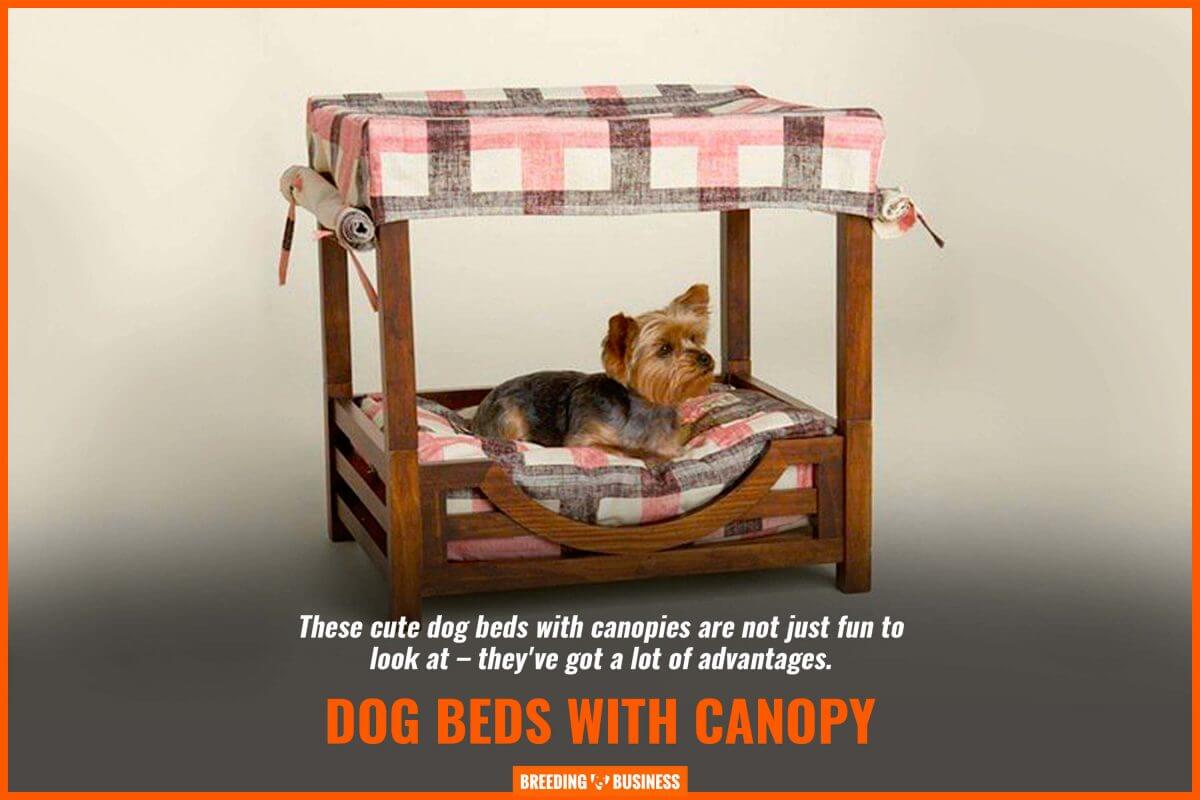 dog beds with canopy