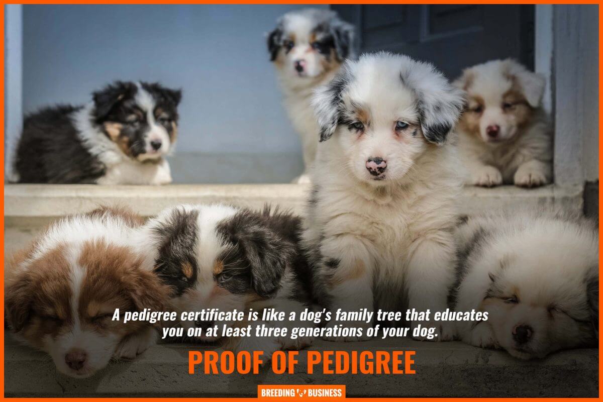 proof of pedigree