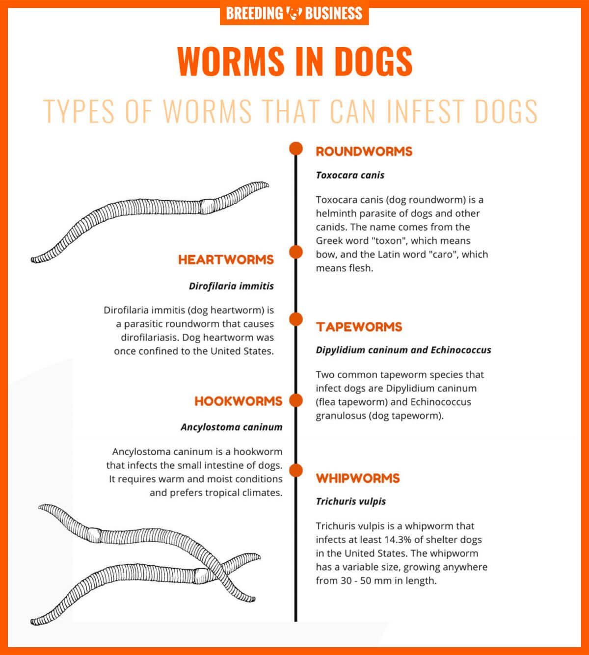 what are signs of worms in dogs