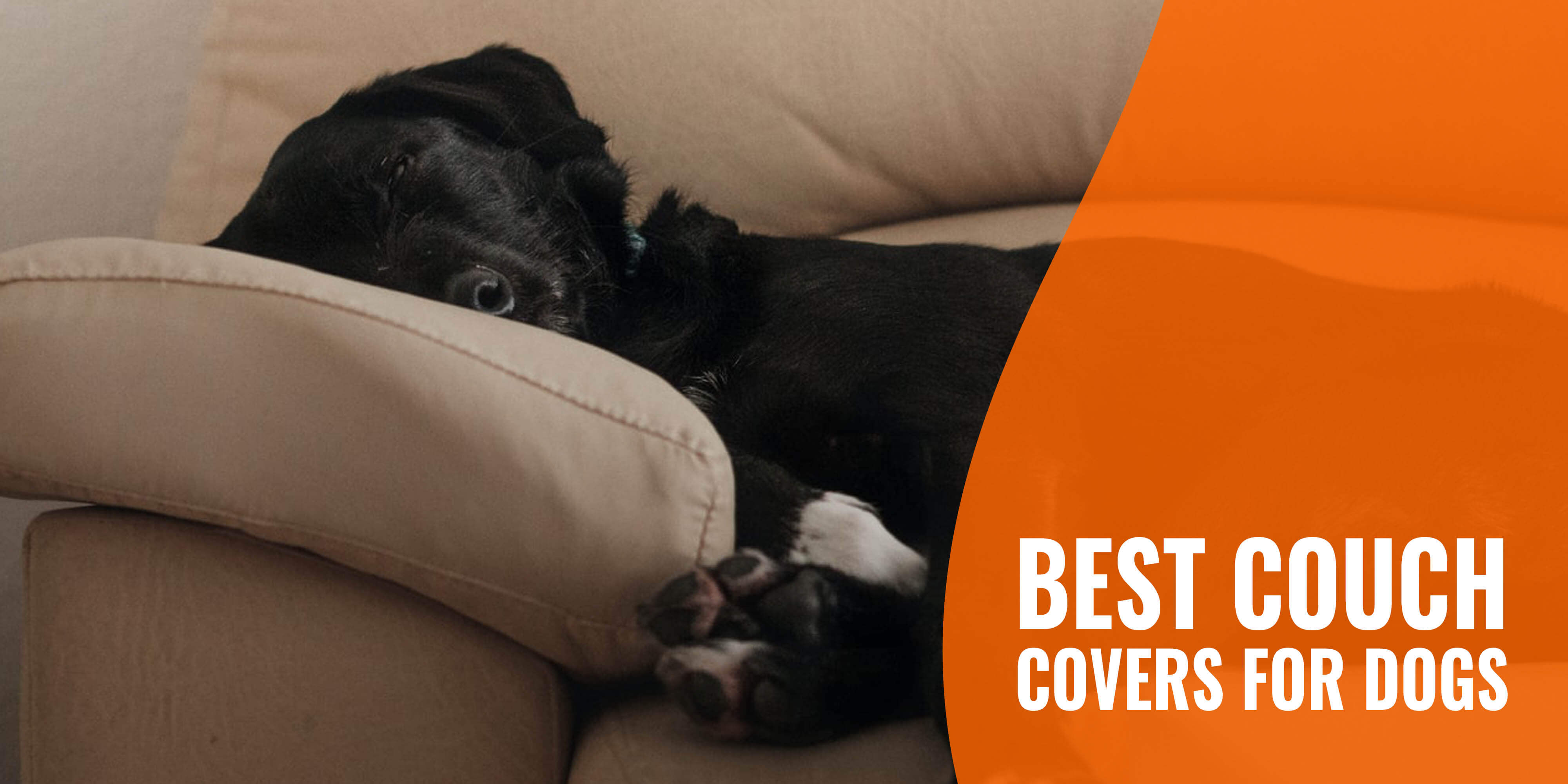 10 Best Couch Covers For Dogs Reviews, Leather Couch Covers For Pets