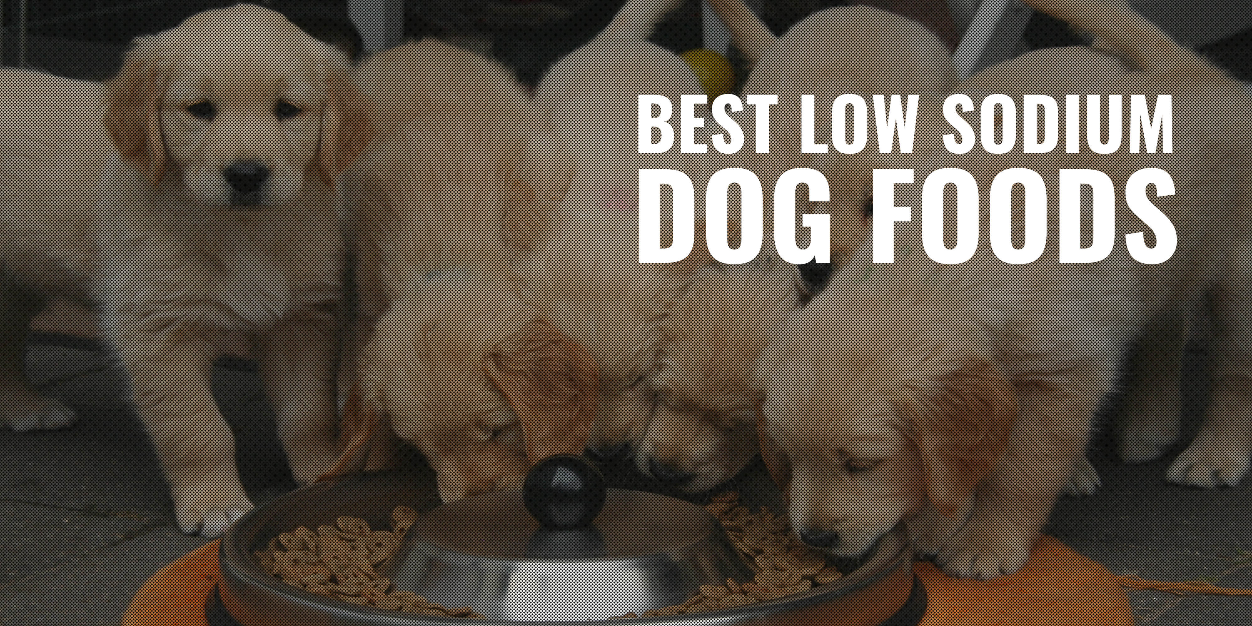 best low sodium dog foods