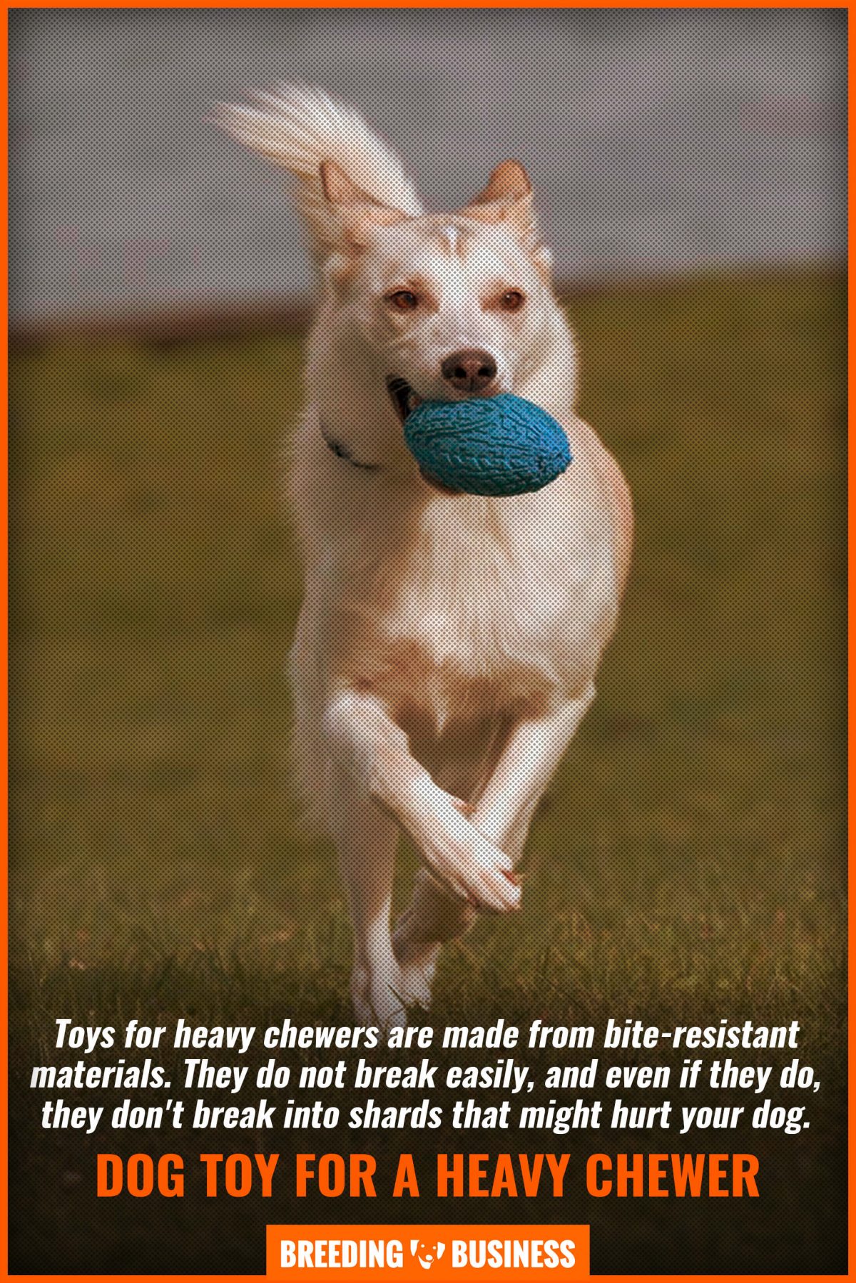 dog toys for heavy chewers