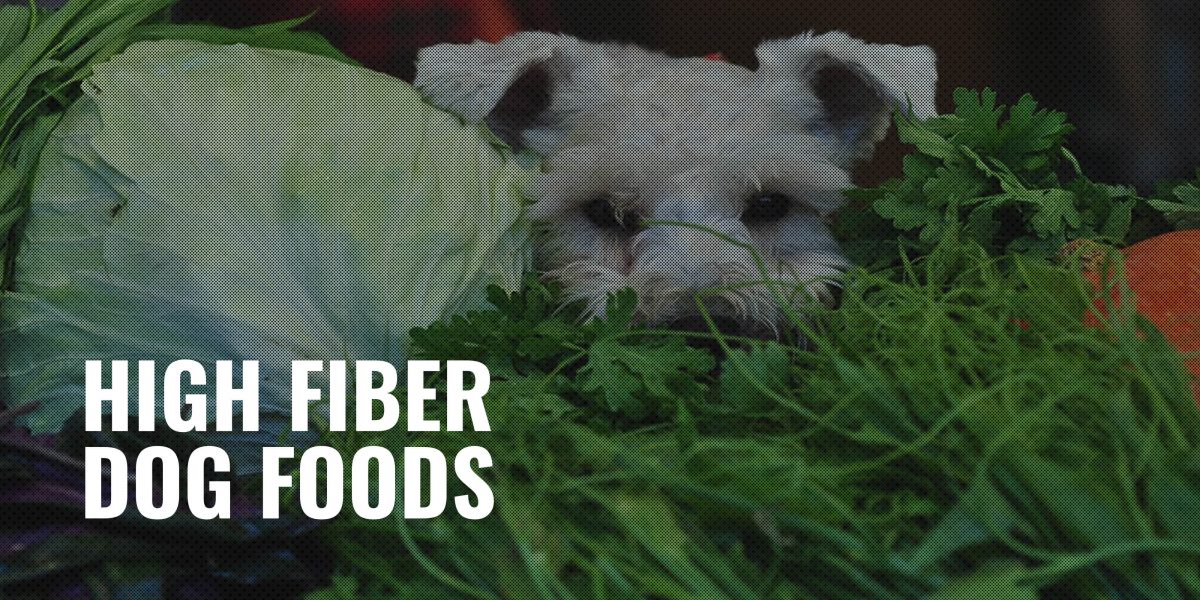 Image showcasing 11 Best High Fiber Dog Foods – Choosing the Right High-Fiber Dog Food