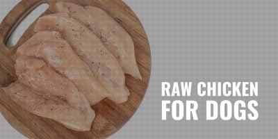 raw chicken for dogs