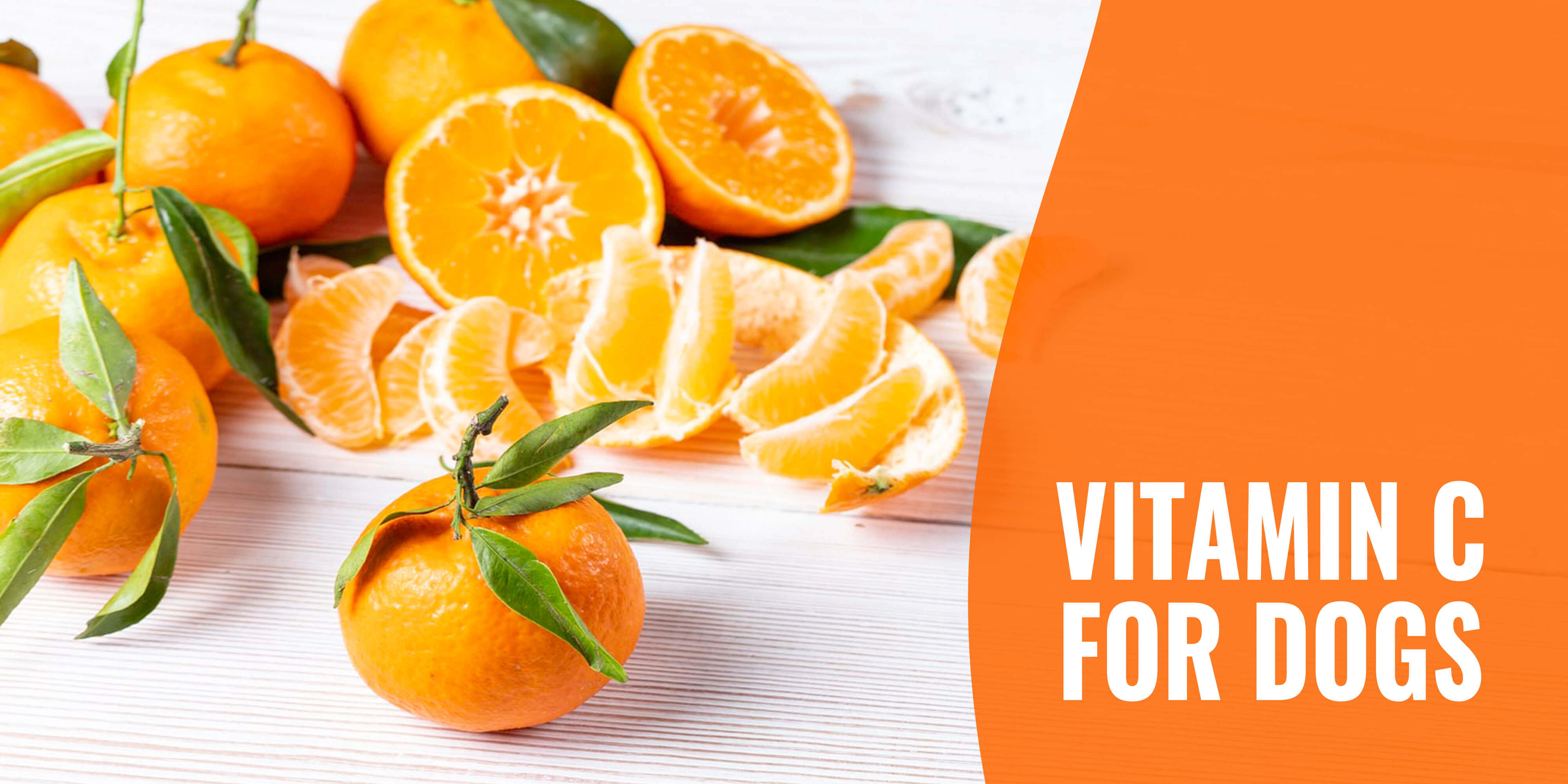 Vitamin C for Dogs - Benefits, Dosage, Risks, Best ...