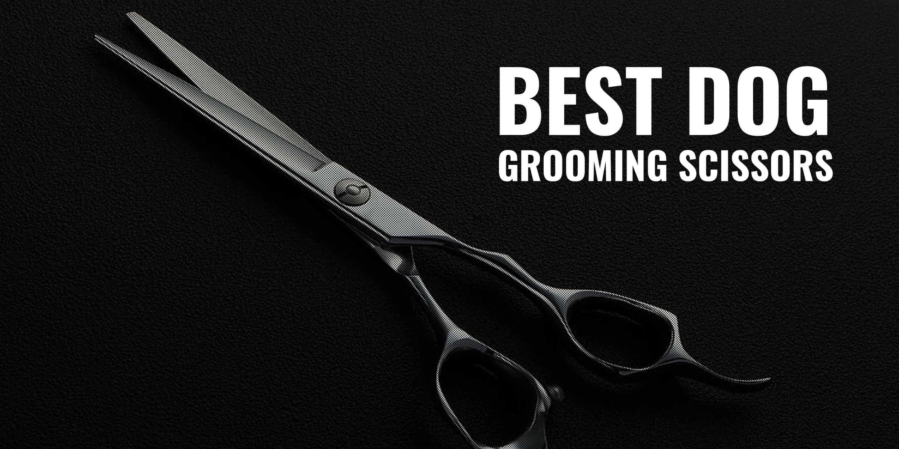 dog grooming blending shears