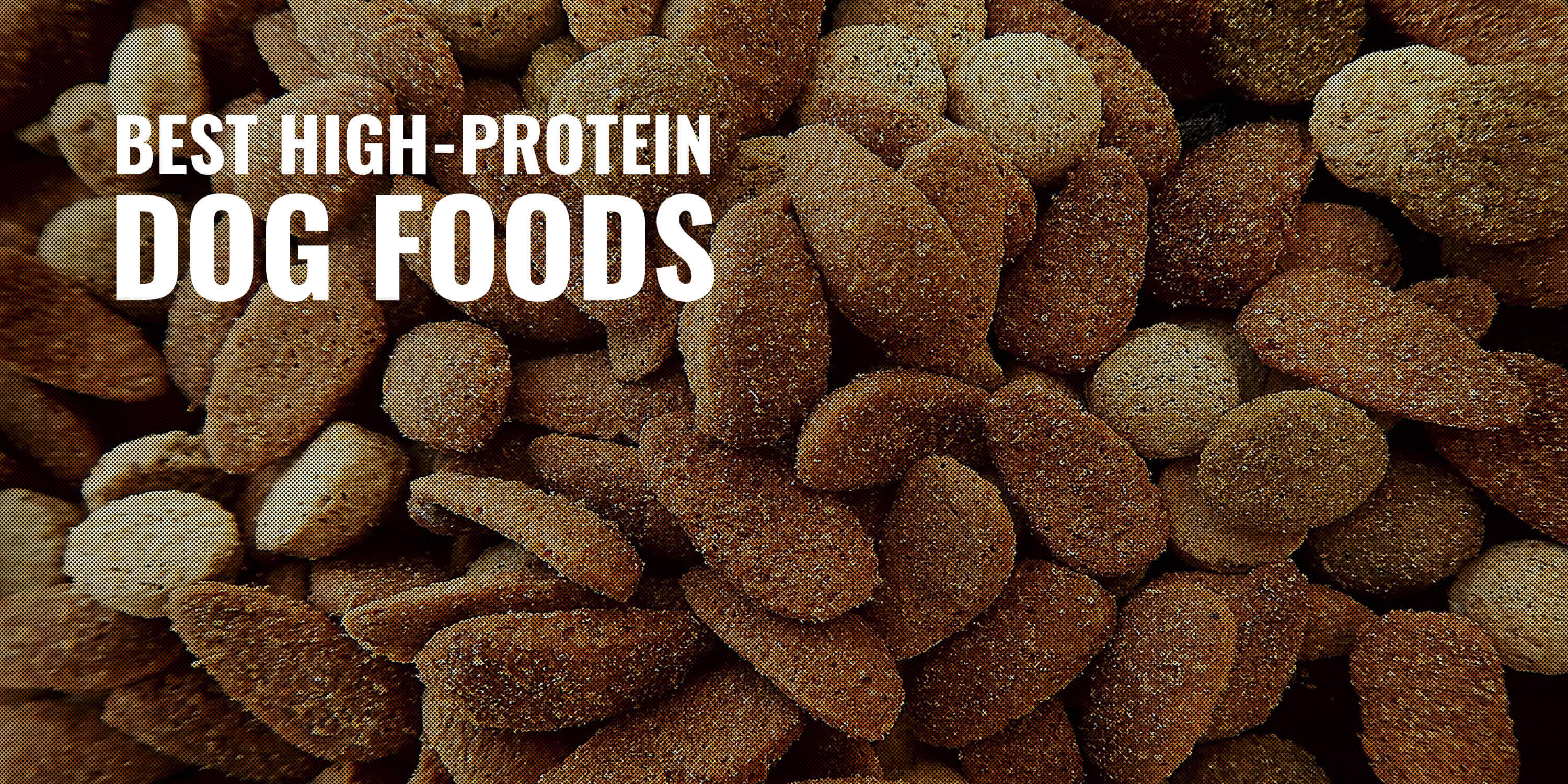 best high protein dog foods