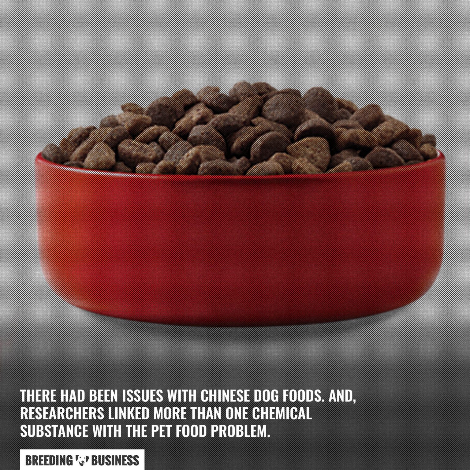 Dog Food Made in China Controversy, Melamine, Risks, Brands & FAQs