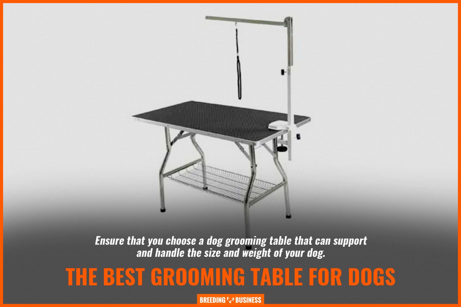 How To Put Dog On Grooming Table at Laura Phillips blog