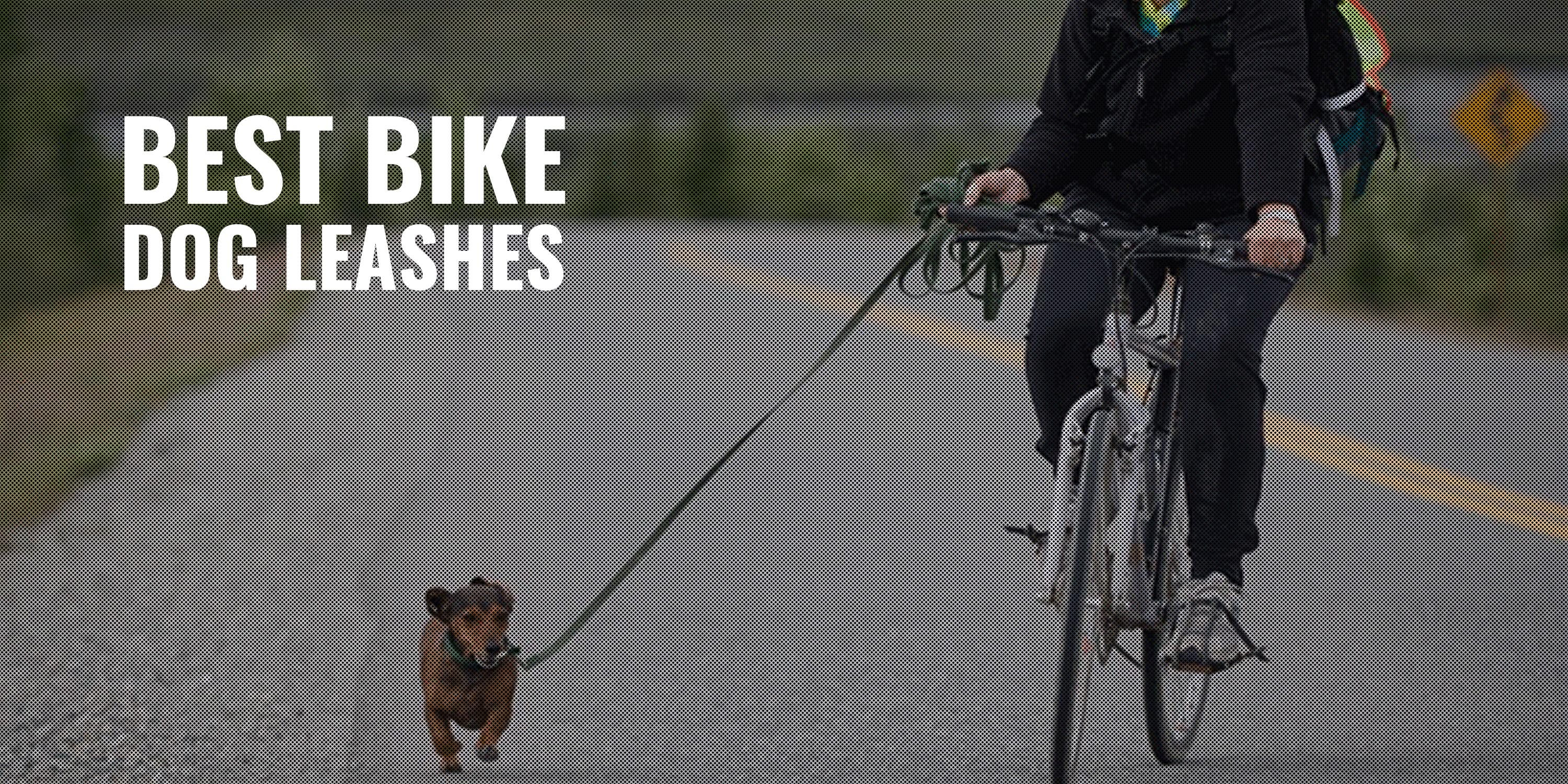 best bike dog leashes
