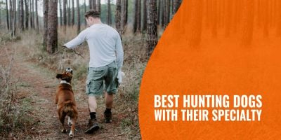 best hunting dogs with their specialty