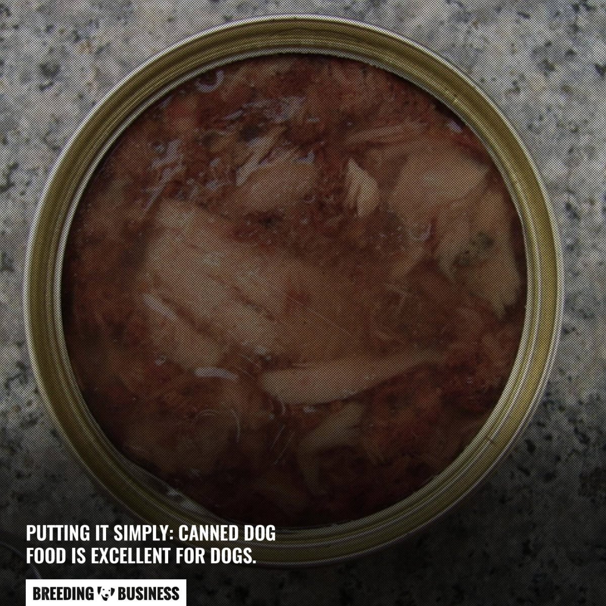 canned dog food good for dogs