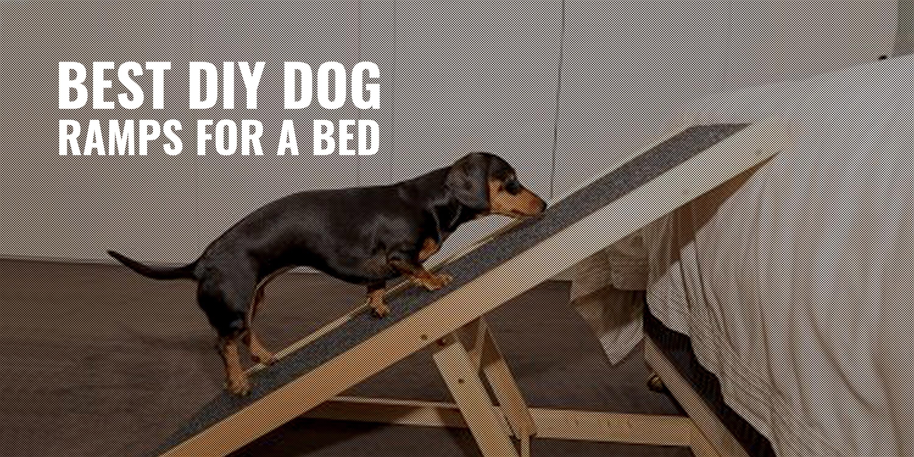 best diy dog ramps for a bed