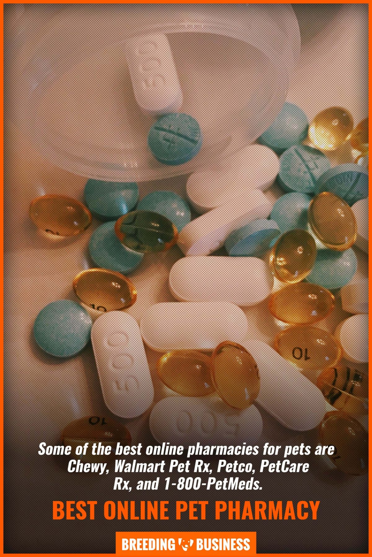 best online pet pharmacy