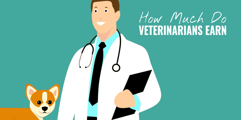 how-much-do-veterinarians-make-experience-specialization-practice