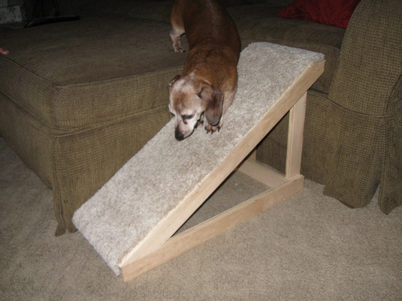 12 Best DIY Dog Ramps For A Bed Reviews, Pros, Cons & FAQ