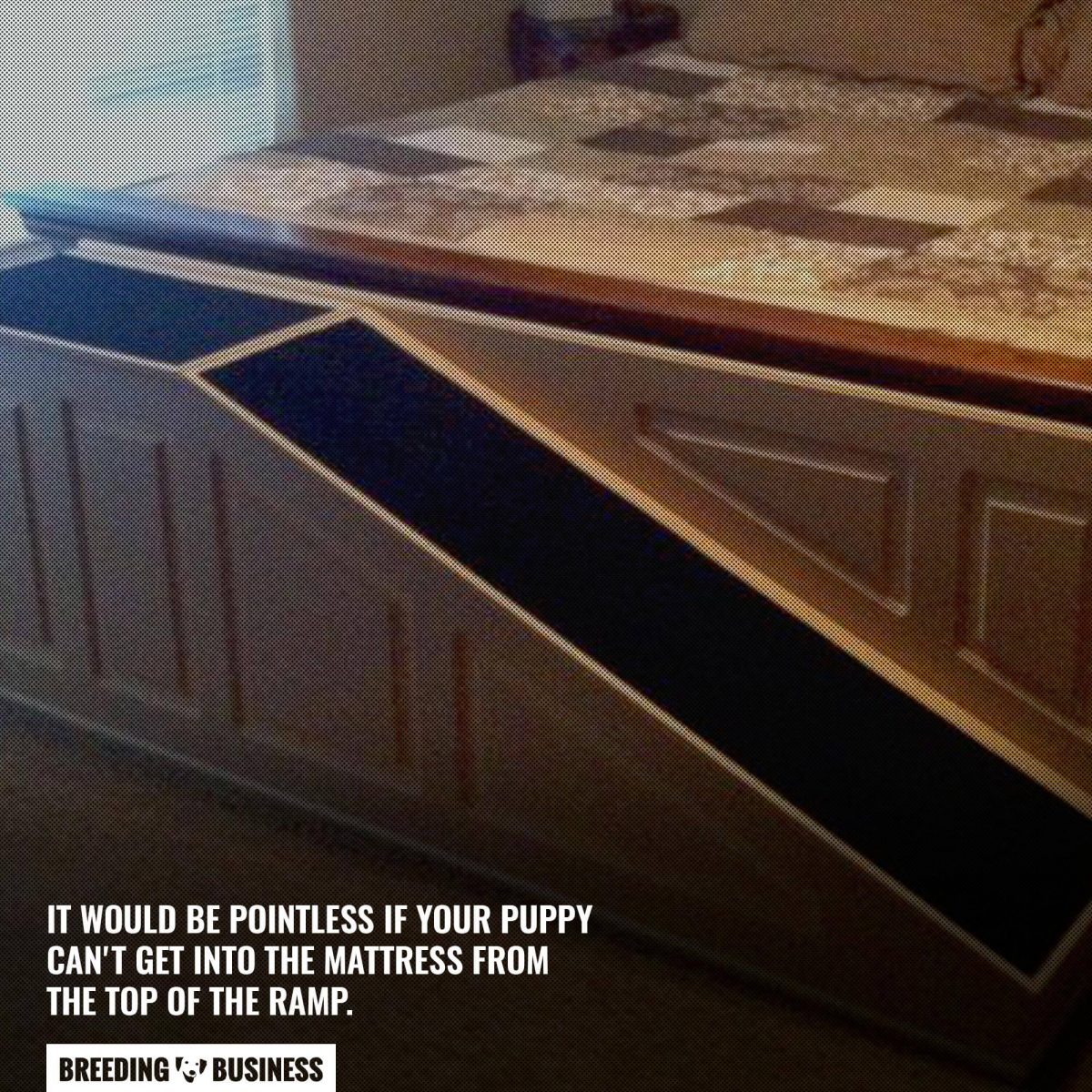 12 Best DIY Dog Ramps For A Bed Reviews, Pros, Cons & FAQ