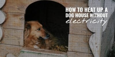 how to heat up a dog house without electricity
