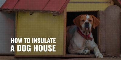 how to insulate a dog house
