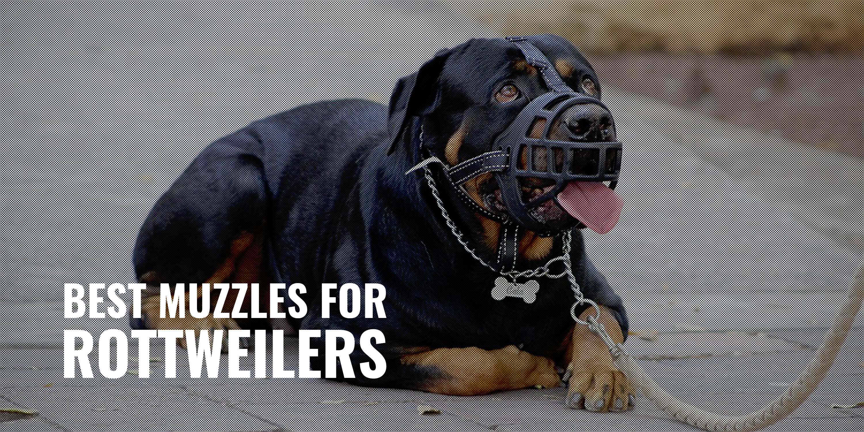 Champion Leather Dog Muzzle For Rottweiler, Mastiff & Large Breeds – Made In UK – Sizes M, L, XL