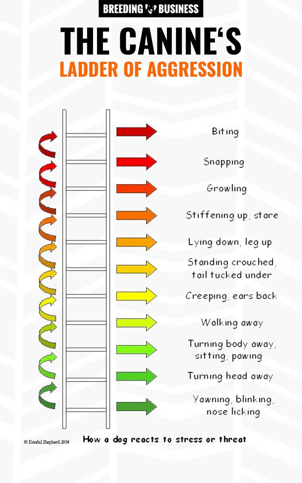 Ladder of Aggression in dogs