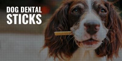 dog dental sticks