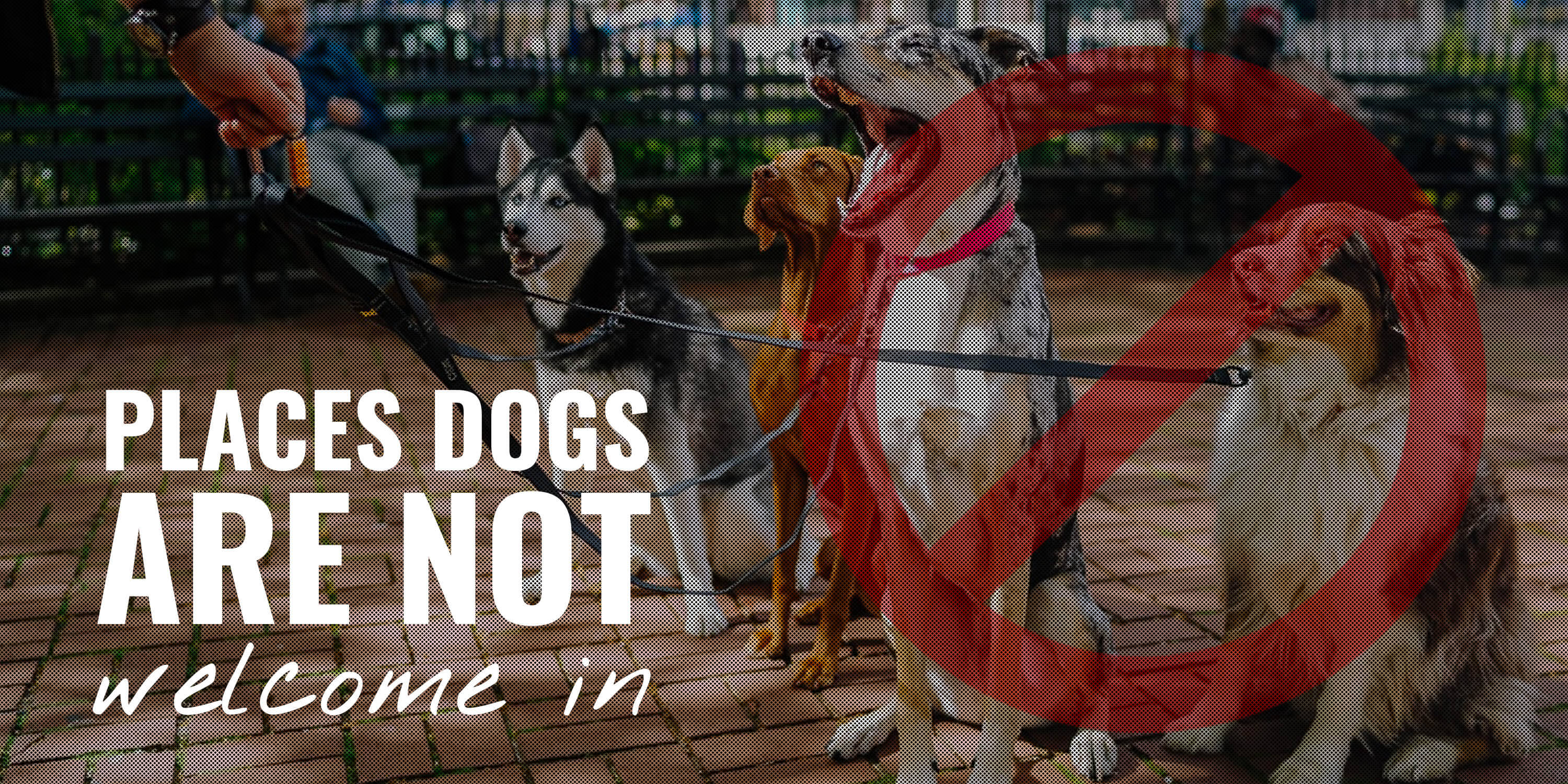 places dogs are not welcome in