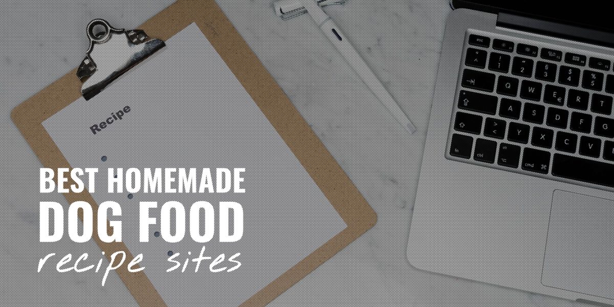9 Best Homemade Dog Food Recipe Sites – Ingredients & Instructions