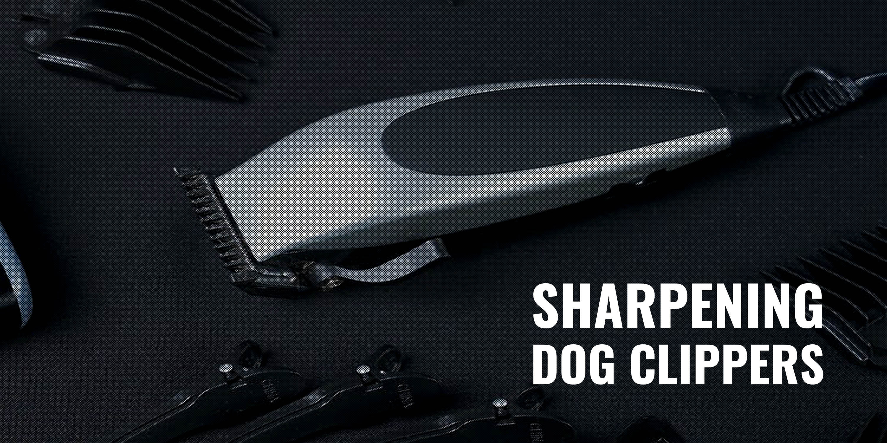 How to Sharpen Dog Clipper Blades? - Breeding Business